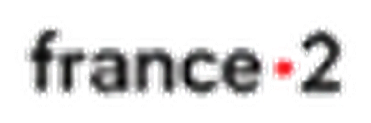 Logo France 2 IPTV Belgique